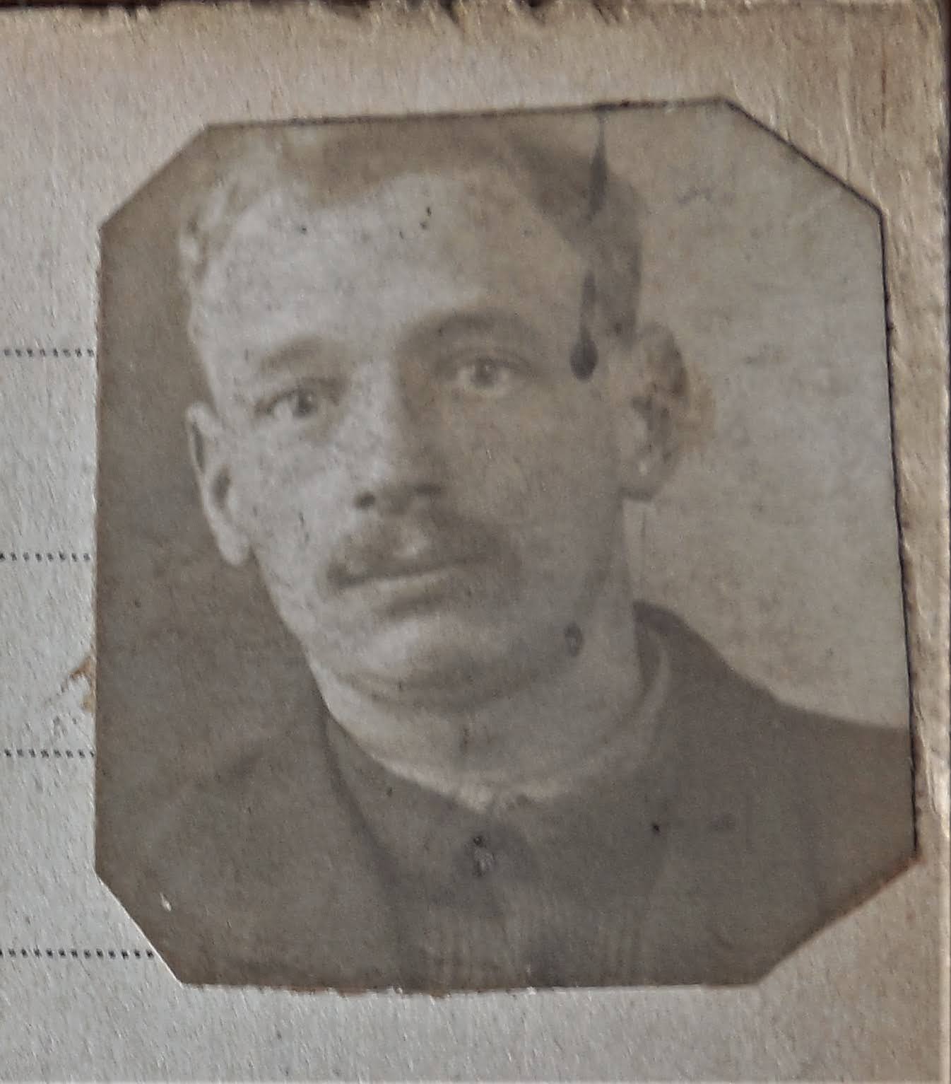 Photos