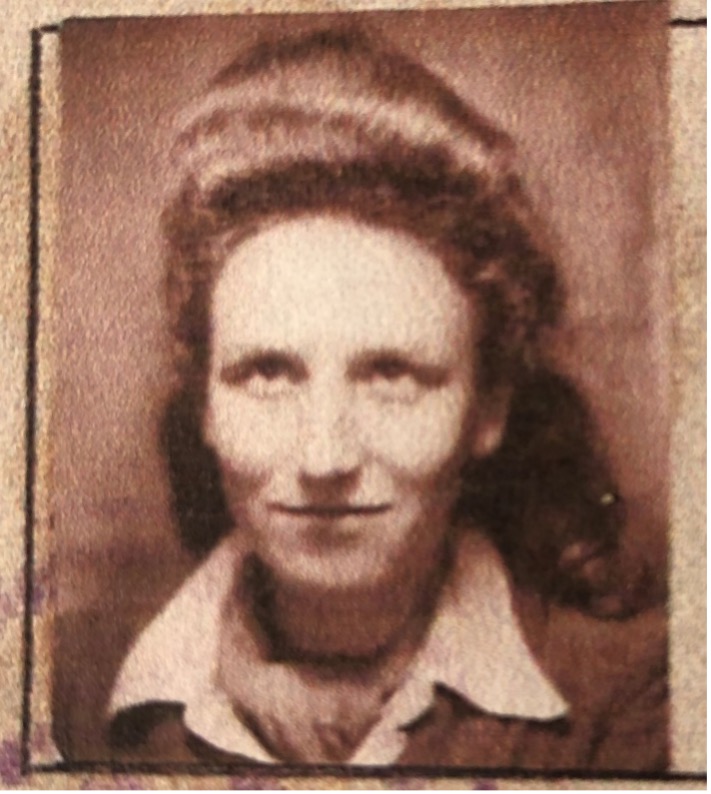 Photos