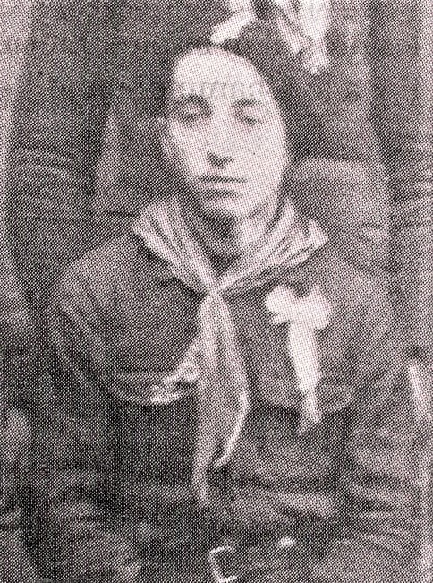 Photos